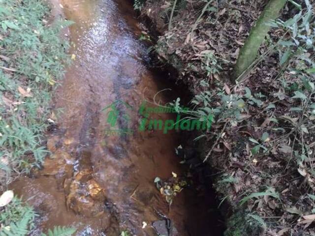 #240 - Terreno para Venda em Pouso Alegre - MG - 3