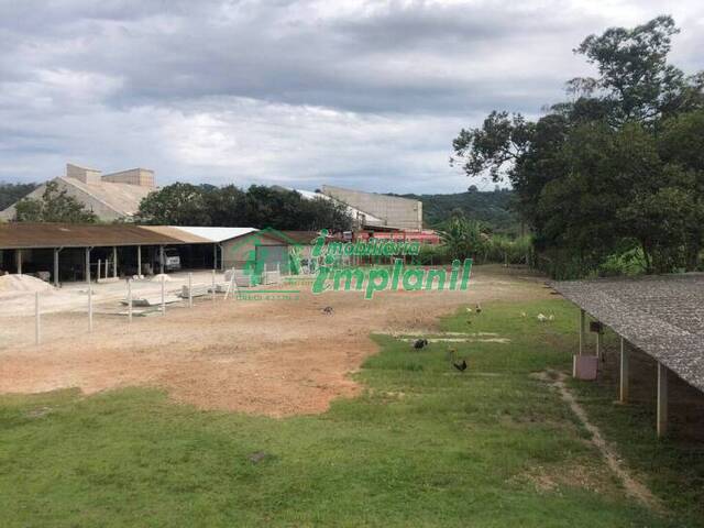 Venda em Centro - Campo Limpo Paulista